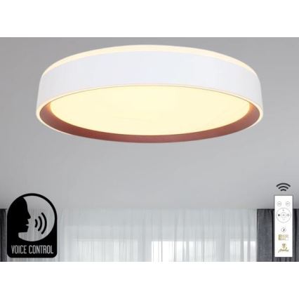 LED loftlampe dæmpbar m. stemmestyring OPAL LED/48W/230V 2700-6500K hvid + fjernbetjening