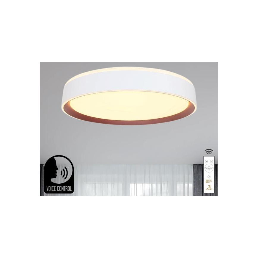 LED loftlampe dæmpbar m. stemmestyring OPAL LED/48W/230V 2700-6500K hvid + fjernbetjening