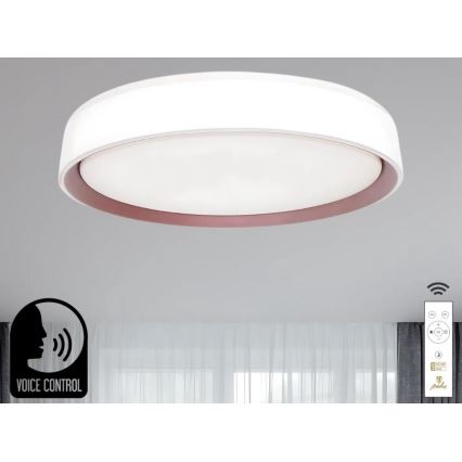 LED loftlampe dæmpbar m. stemmestyring OPAL LED/48W/230V 2700-6500K hvid + fjernbetjening