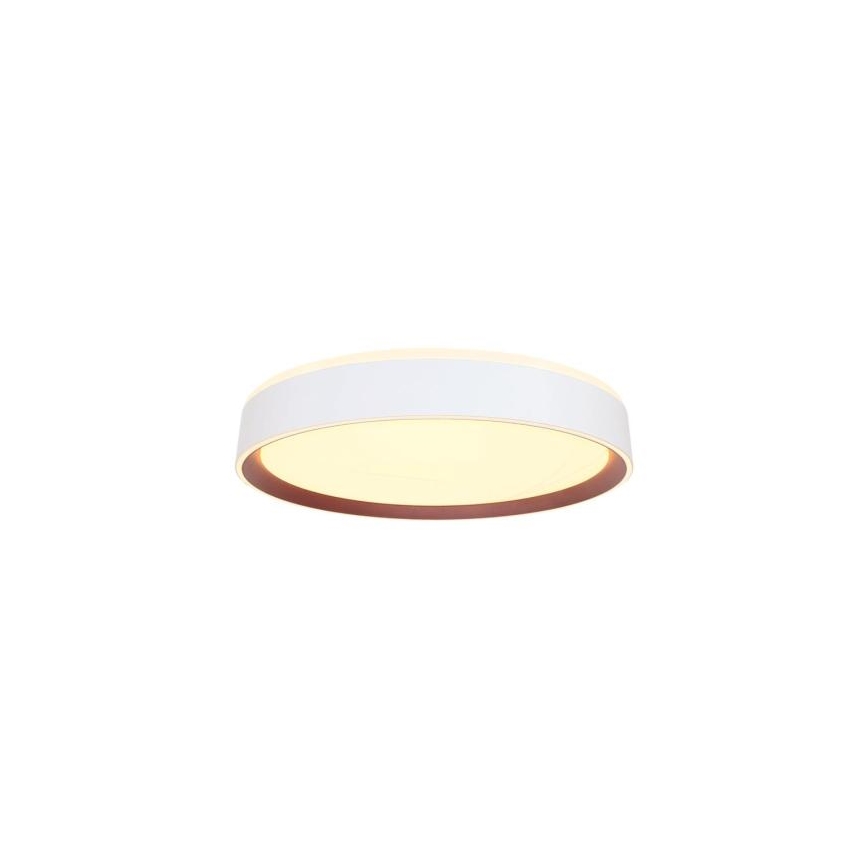 LED loftlampe dæmpbar m. stemmestyring OPAL LED/48W/230V 2700-6500K hvid + fjernbetjening