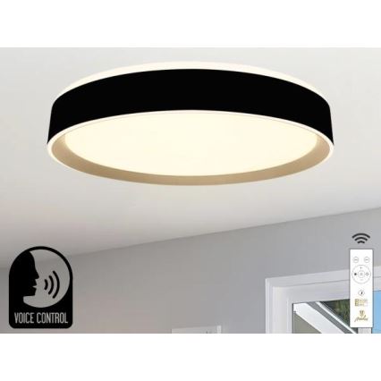 LED loftlampe dæmpbar m. stemmestyring OPAL LED/48W/230V 2700-6500K sort + fjernbetjening