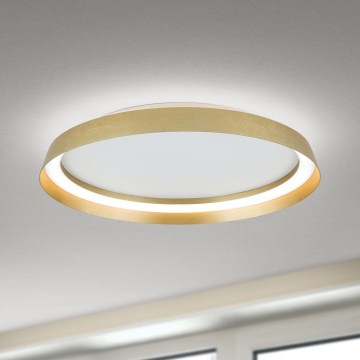 LED loftlampe dæmpbar MANTA LED/38W/230V 2700/3000/4000K diameter 45 cm guldfarvet