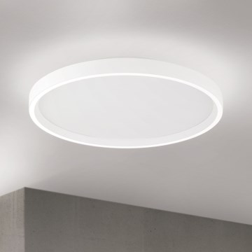 LED loftlampe dæmpbar MASCA LED/36W/230V 2700/3350/4000K diameter 40 cm hvid