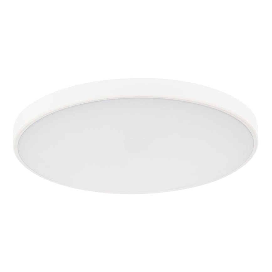 LED loftlampe dæmpbar PLAFON LED/20W/230V 3000-6500K Wi-Fi hvid