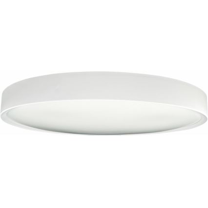LED loftlampe dæmpbar SAMER LED/40W/230V 2900-6000K + fjernbetjening