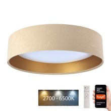 LED loftlampe dæmpbar SMART GALAXY LED/24W/230V diam. 45 cm 2700-6500K Wi-Fi Tuya beige/guldfarvet + fjernbetjening