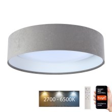 LED loftlampe dæmpbar SMART GALAXY LED/24W/230V diam. 45 cm 2700-6500K Wi-Fi Tuya grå/hvid + fjernbetjening