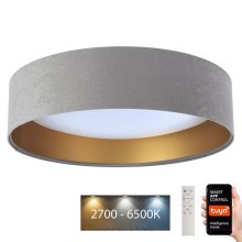 LED loftlampe dæmpbar SMART GALAXY LED/36W/230V diam. 55 cm 2700-6500K Wi-Fi Tuya grå/guldfarvet + fjernbetjening