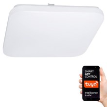 LED loftlampe dæmpbar SMART LED/28W/230V Wi-Fi Tuya