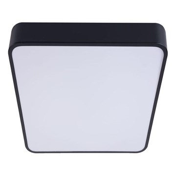 LED loftlampe FELIZ LED/50W/230V 4000K 40x60 cm sort