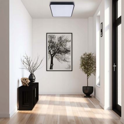 LED loftlampe FELIZ LED/50W/230V 4000K 40x60 cm sort