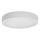 LED loftlampe FENIX LED/12W/230V 2800K diameter 17 cm