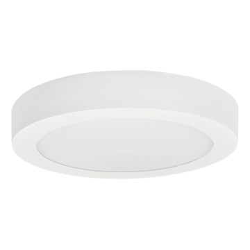 LED loftlampe FENIX LED/18W/230V 3800K diameter 22,5 cm sne hvid