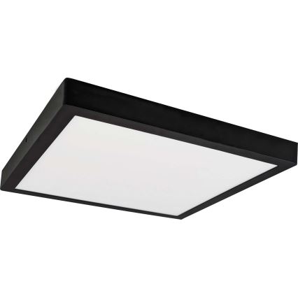 LED loftlampe FENIX LED/32W/230V 3800K 40 cm