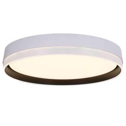 LED loftlampe FLORIDA LED/24W/230V hvid