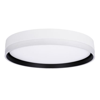 LED loftlampe FLORIDA LED/24W/230V hvid