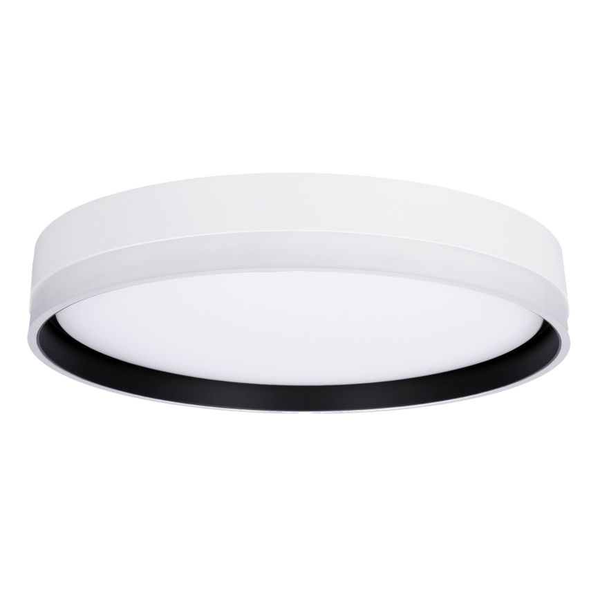 LED loftlampe FLORIDA LED/24W/230V hvid