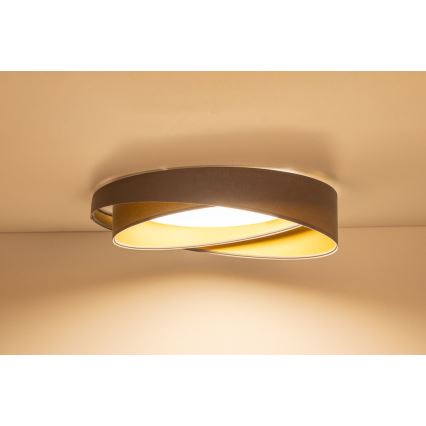 LED-loftlampe GALAXY MODERN LED/24W/230V Ø 55 cm grå/guld