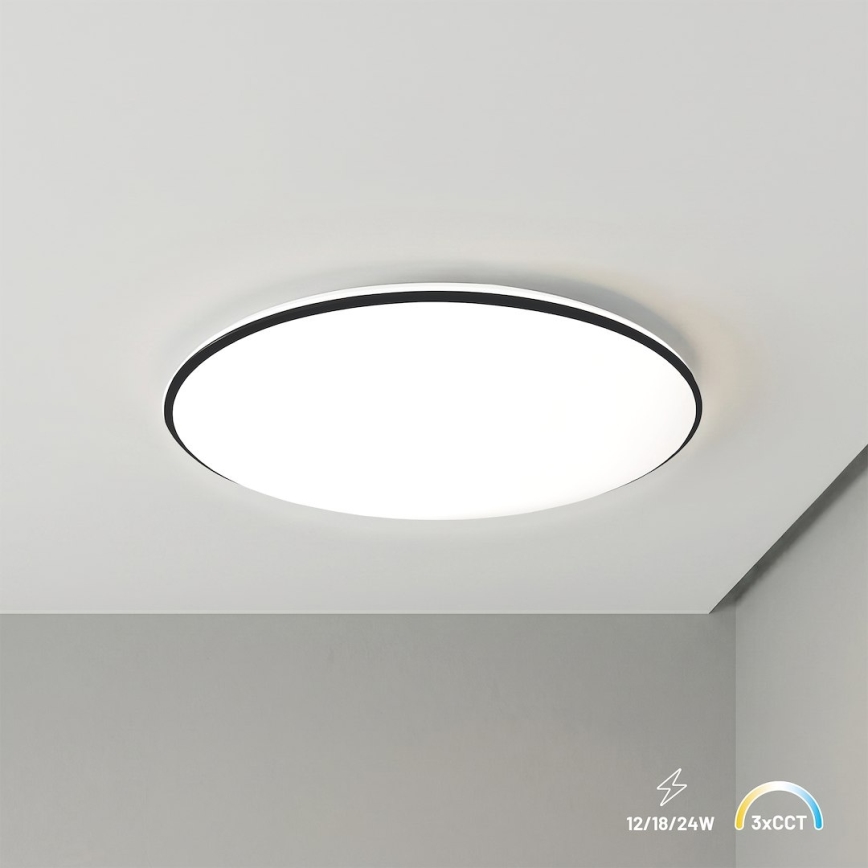 HUGO LED-loftlampe 12/18/24W/230V 3000/4000/6500K Ø 30 cm IP54 sort