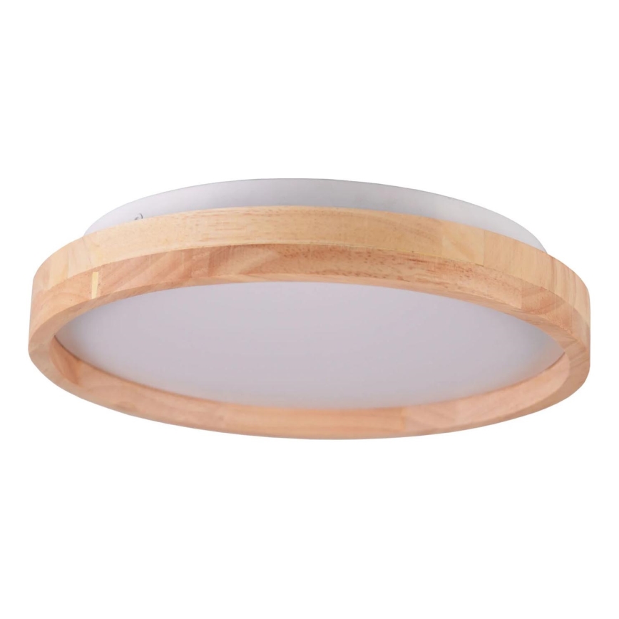 LED loftlampe JANUSZ LED/12W/230V diameter 27 cm IP44 eg