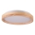 LED loftlampe JANUSZ LED/12W/230V diameter 27 cm IP44 eg