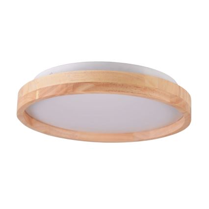 LED loftlampe JANUSZ LED/12W/230V diameter 27 cm IP44 eg