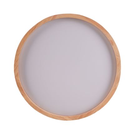 LED loftlampe JANUSZ LED/12W/230V diameter 27 cm IP44 eg