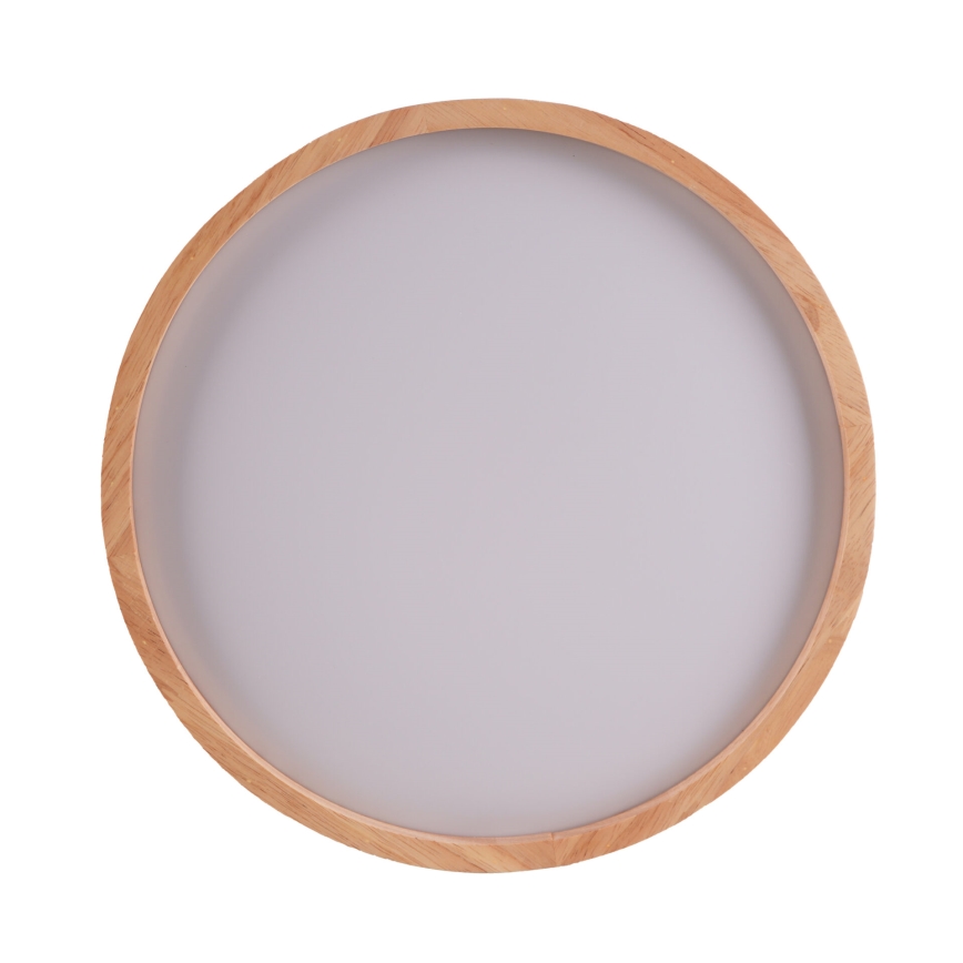 LED loftlampe JANUSZ LED/12W/230V diameter 27 cm IP44 eg