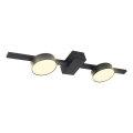 LED loftlampe JOY 2xGX53/6W/230V sort