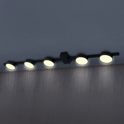 LED loftlampe JOY 5xGX53/6W/230V sort