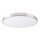 LED loftlampe KERN LED/24W/230V nikkel