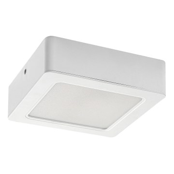 LED loftlampe LED/12W/230V 14,5 cm