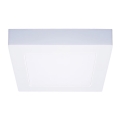 LED loftlampe LED/12W/230V 3000/4000/6000K 17x17 cm hvid