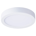 LED loftlampe LED/12W/230V 3000/4000/6000K Ø 17 cm hvid