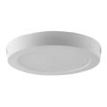 LED loftlampe LED/12W/230V 6500K diameter 16,7 cm hvid