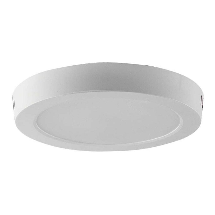LED loftlampe LED/12W/230V 6500K diameter 16,7 cm hvid