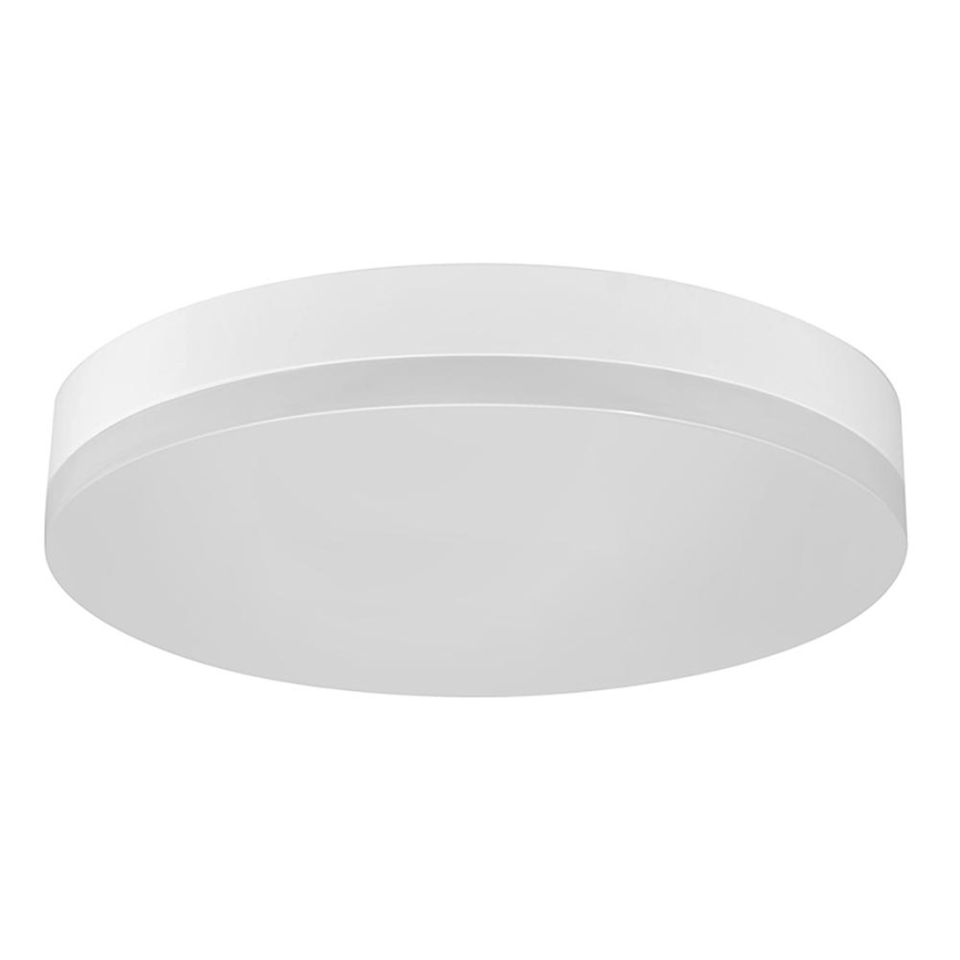 LED loftlampe LED/12W/230V IP44