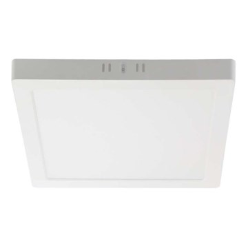 LED loftlampe LED/18W/230V 4000K 21,4x,21,4 cm hvid