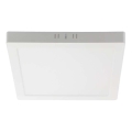 LED loftlampe LED/18W/230V 6500K 21,4x21,4 cm hvid