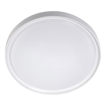 LED Loftlampe LED/18W/230V Ø 30 cm hvid