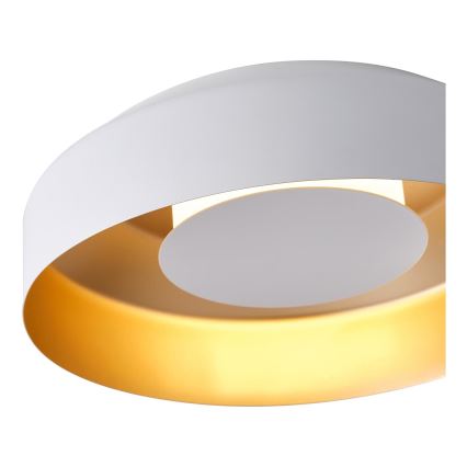 LED loftlampe LED/20W/230V 3000K hvid