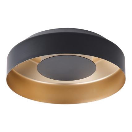 LED loftlampe LED/20W/230V 3000K sort