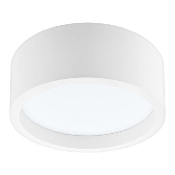 LED loftlampe LED/21W/230V fyrretræ