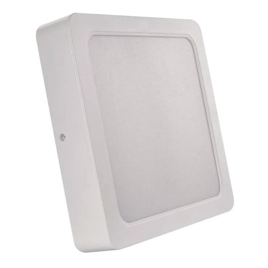 LED loftlampe LED/24W/230V 22x22 cm hvid