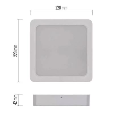 LED loftlampe LED/24W/230V 22x22 cm hvid