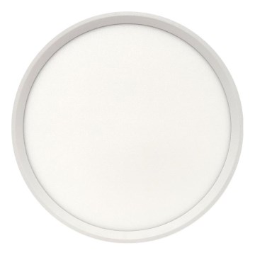 LED loftlampe LED/24W/230V 3000/4000/6500K pr. 30 cm hvid
