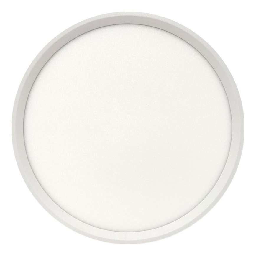 LED loftlampe LED/24W/230V 3000/4000/6500K pr. 30 cm hvid
