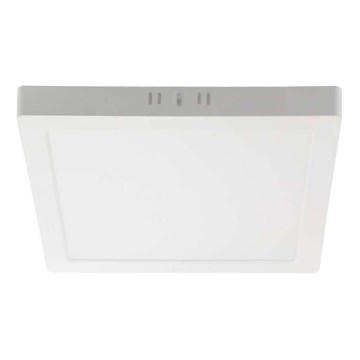 LED loftlampe LED/24W/230V 3000K 28,7x28,7 cm hvid