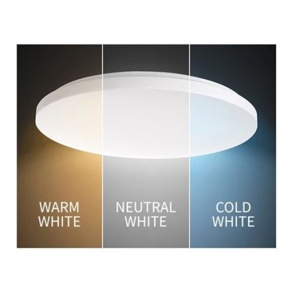 LED loftlampe LED/24W/230V 3000K/4000K/6000K