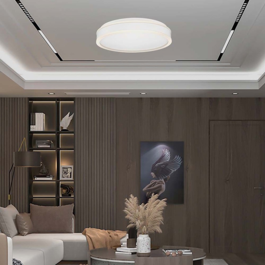 LED loftlampe LED/24W/230V 4000K hvid